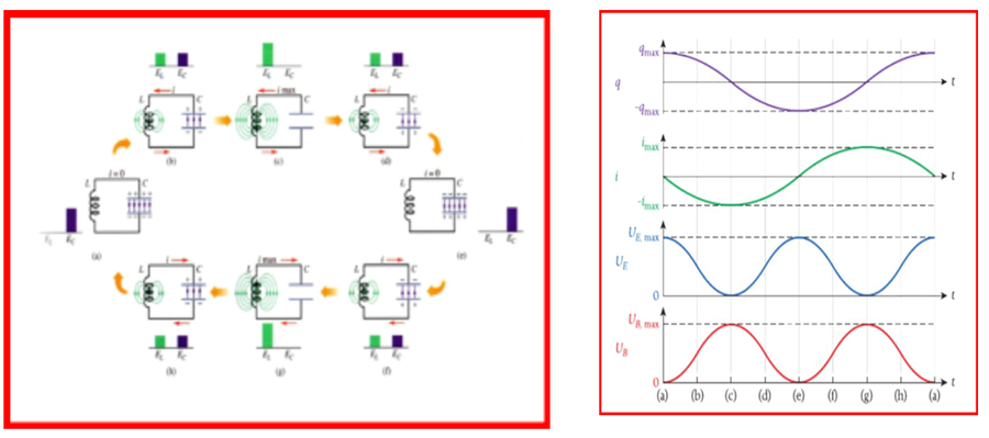 stages of an LC oscillation