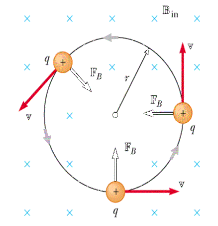 circle with forces