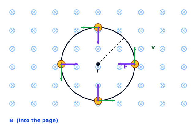 circular path of a positive charge in a field into the page