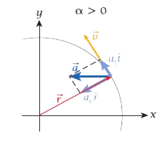 velocity and acceleration vectors with positive alpha
