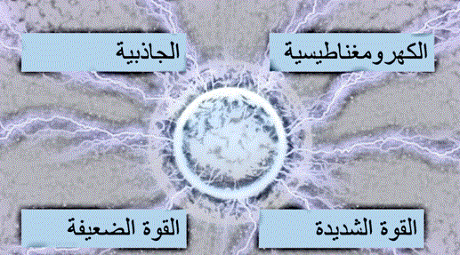 القوى الأساسية الأربع