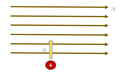 example 5