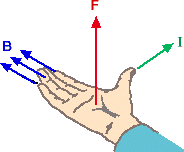 palm rule