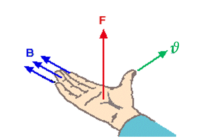 palm rule with angle