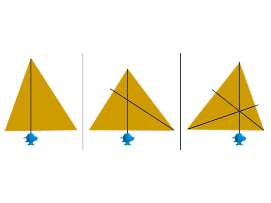 plumb lines in a triangle