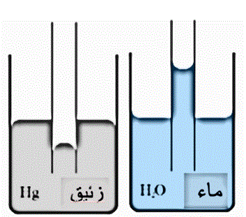 capillary tubes with water and mercury
